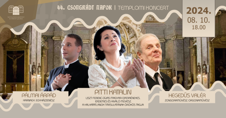 pittikati_event